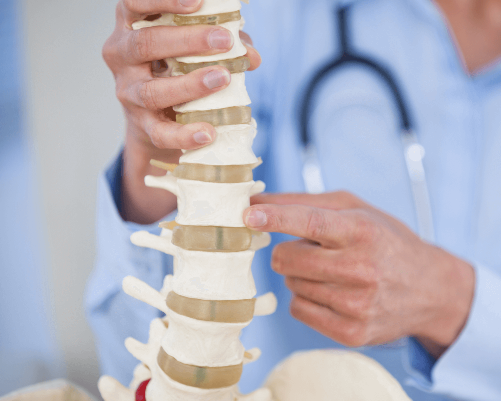 Kentucky ortho Spine (1000 x 800 px) (1)